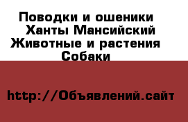 Поводки и ошеники - Ханты-Мансийский Животные и растения » Собаки   